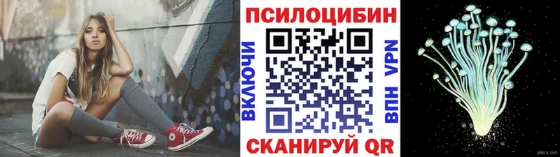 Купить где  Сковородино  Галлюциногенные грибы Magic Shrooms 