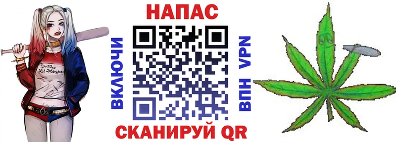 Купить где  Сковородино  Канабис SATIVA & INDICA 